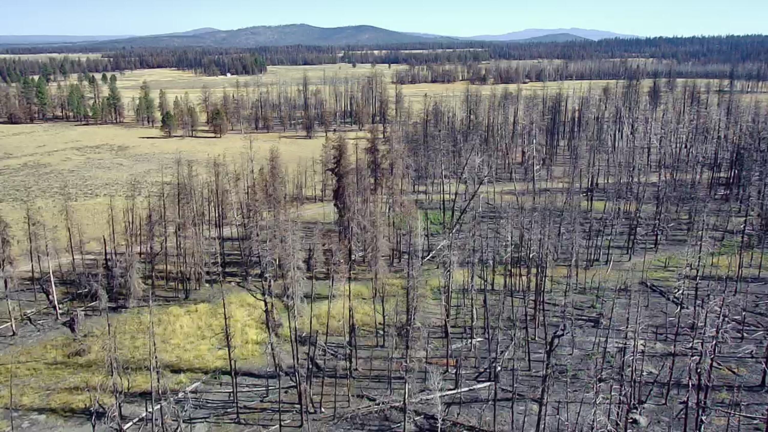 Klamath Falls Forest Estates -Sycan Unit - Land