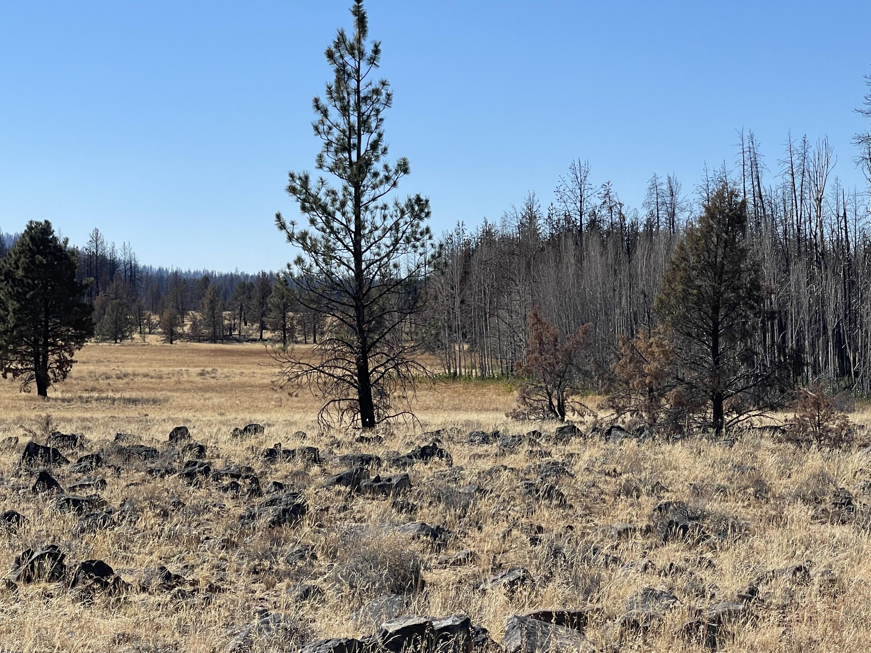 Klamath Falls Forest Estates -Sycan Unit - Land