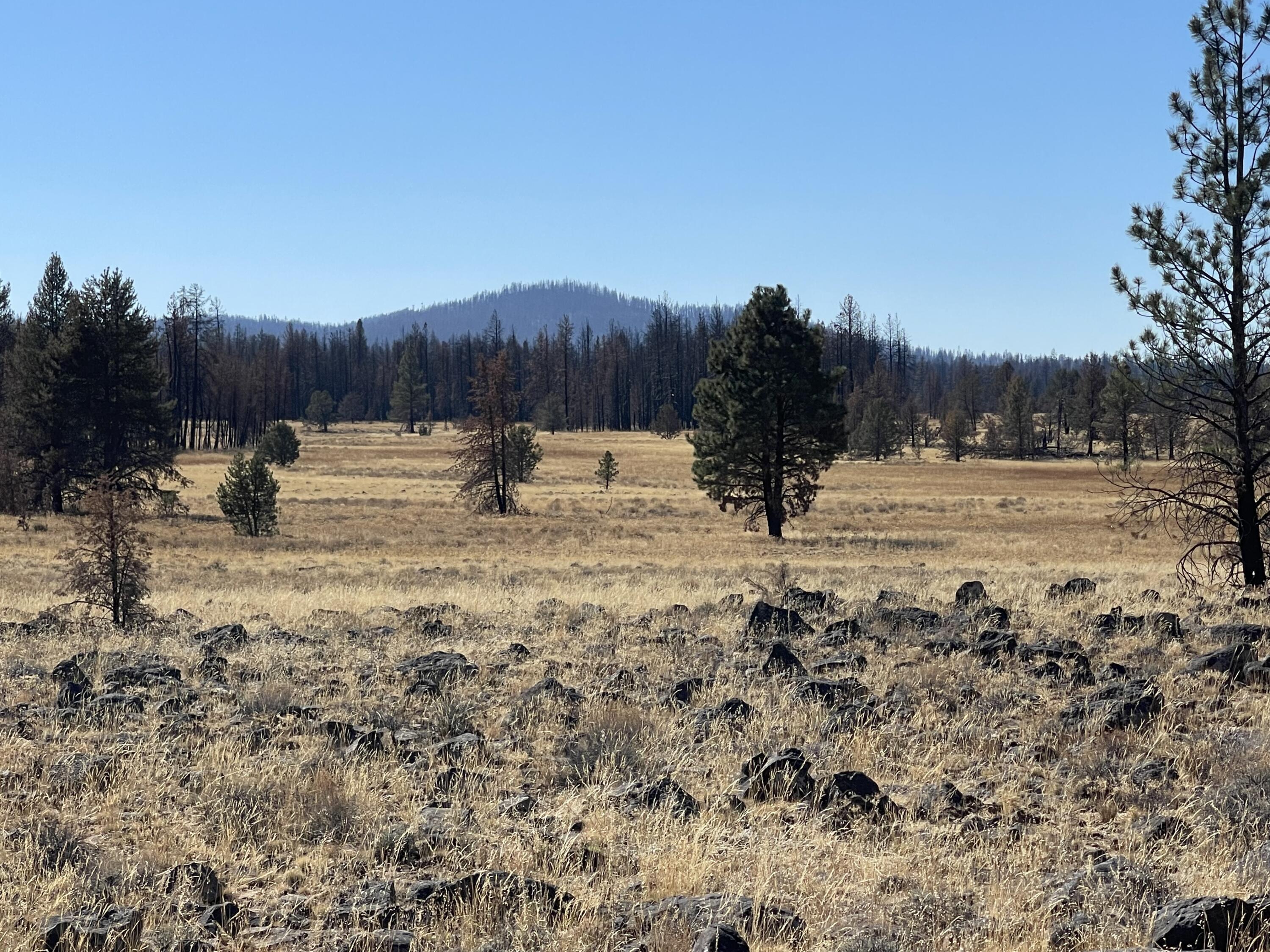 Klamath Falls Forest Estates -Sycan Unit - Land