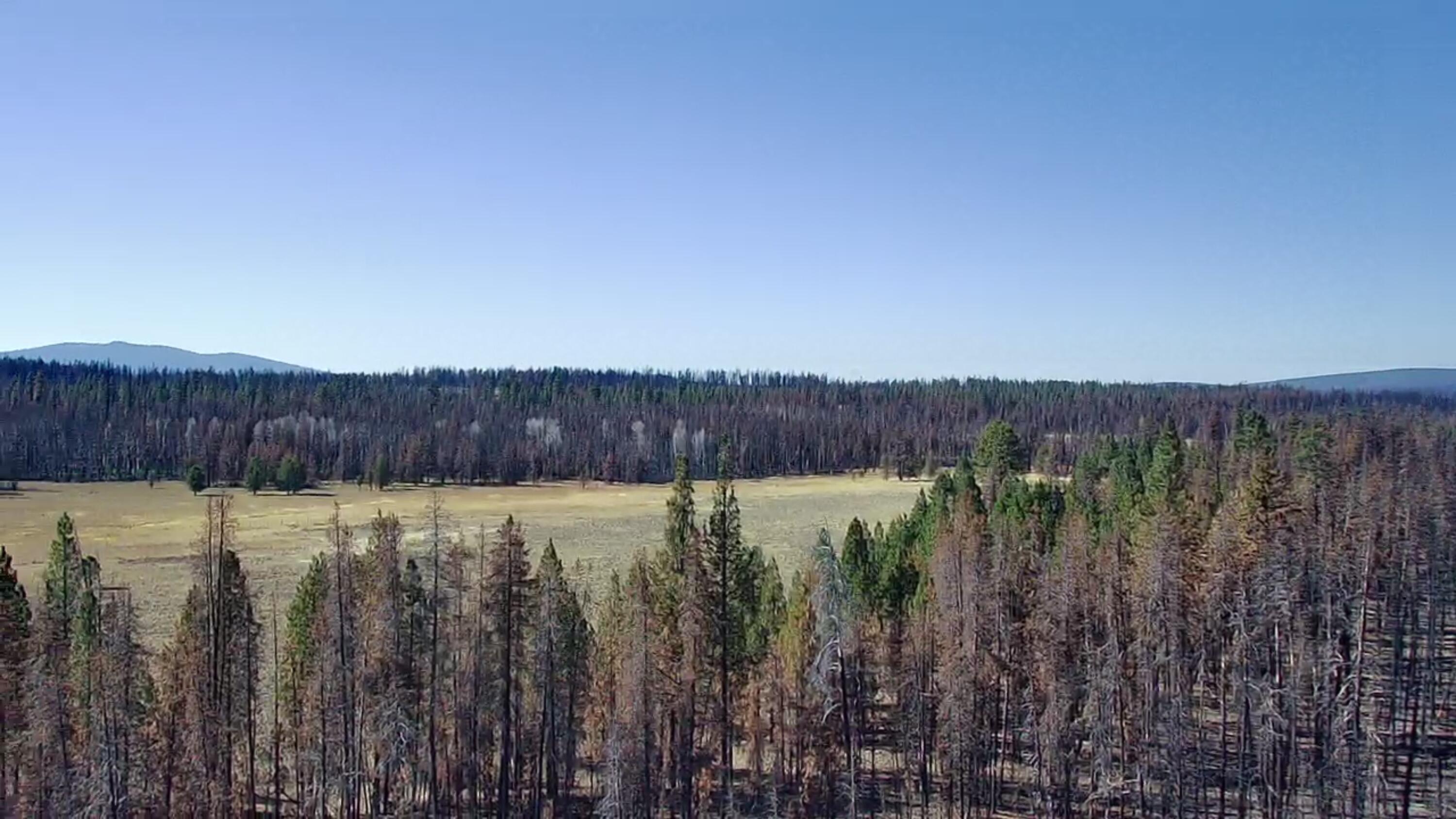 Klamath Falls Forest Estates -Sycan Unit - Land