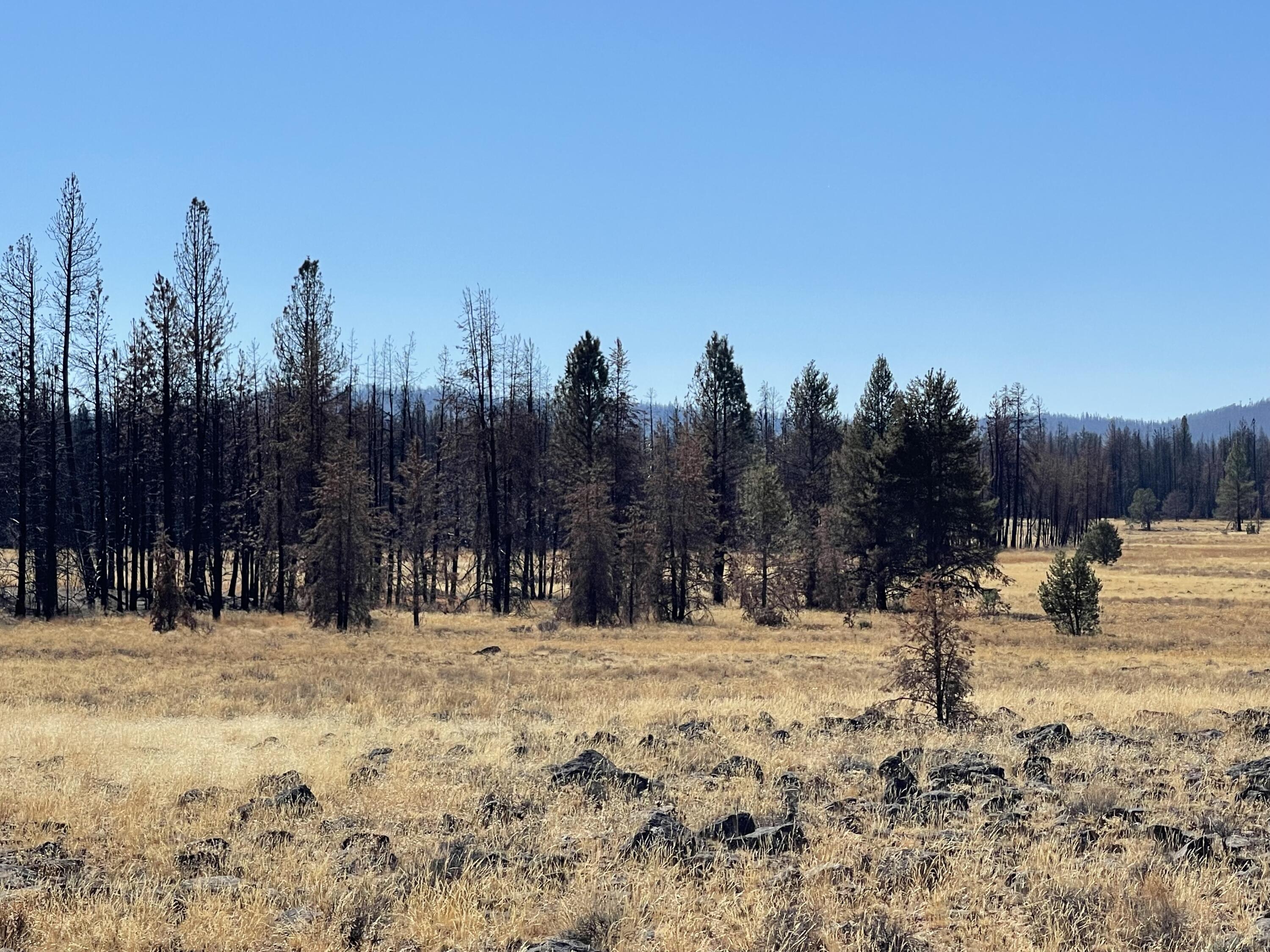 Klamath Falls Forest Estates -Sycan Unit - Land