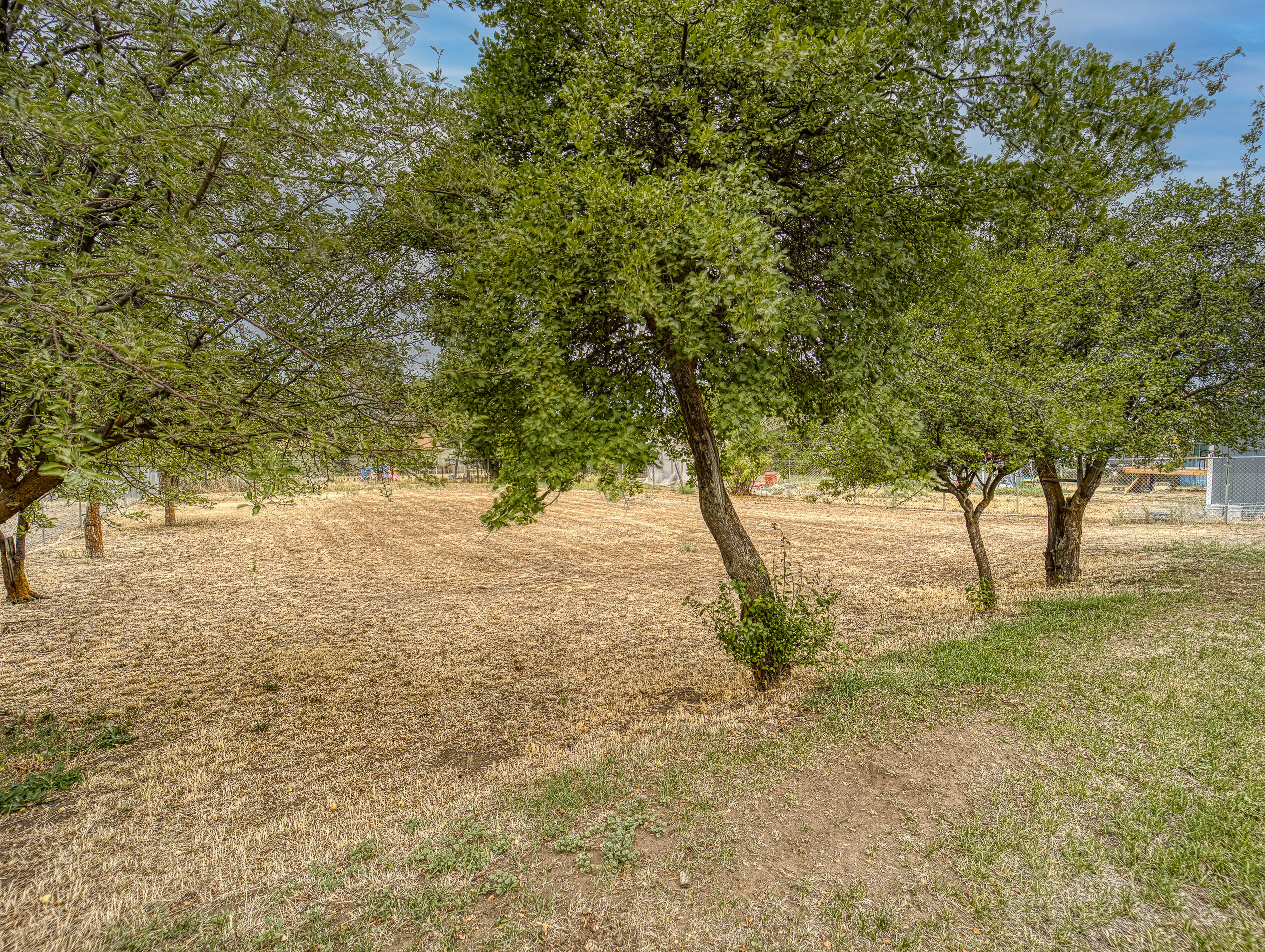 Lewis Tracts - Residential