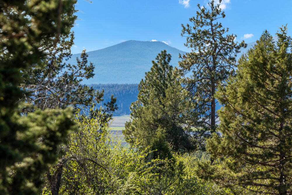 856 Beattys Butte Drive