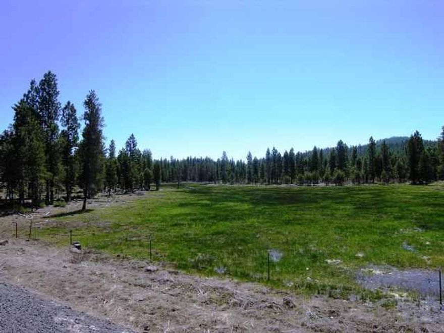 Meadows Spring Fed In March-july, Backs Up To Winema National Forest. Has Current Cup.