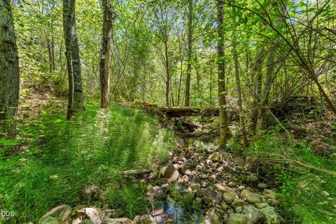 Tiny photo for 6907 Bear Branch Road, Rogue River, OR 97537 (MLS # 220223993)