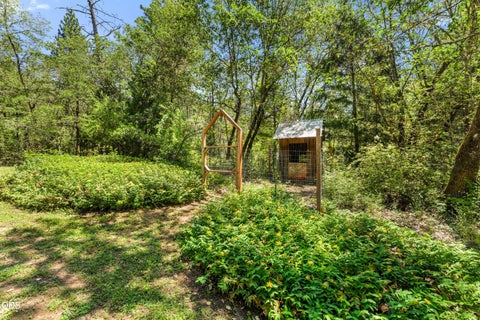 Tiny photo for 6907 Bear Branch Road, Rogue River, OR 97537 (MLS # 220223993)