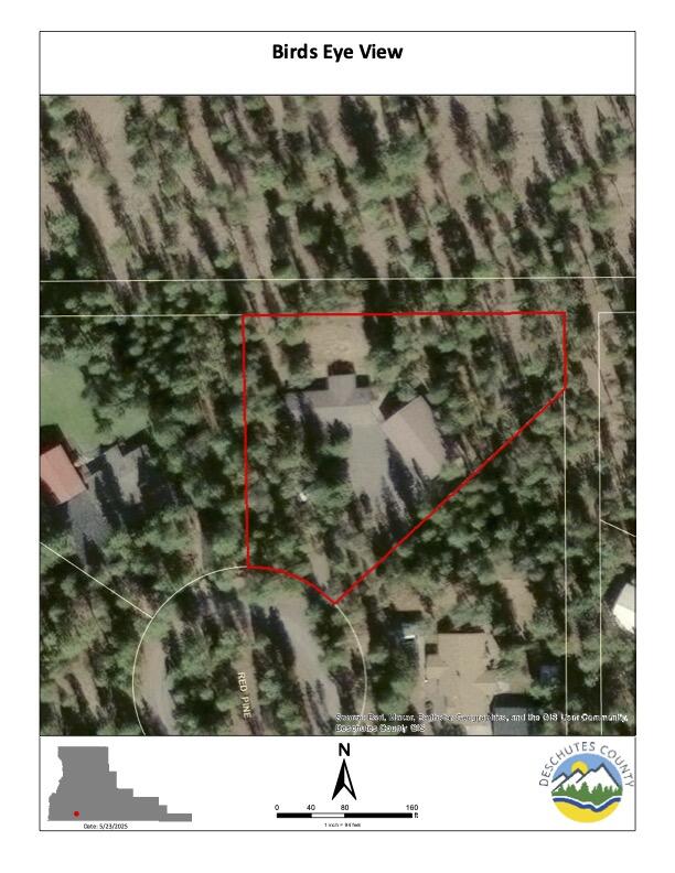 Ponderosa Pines - Residential