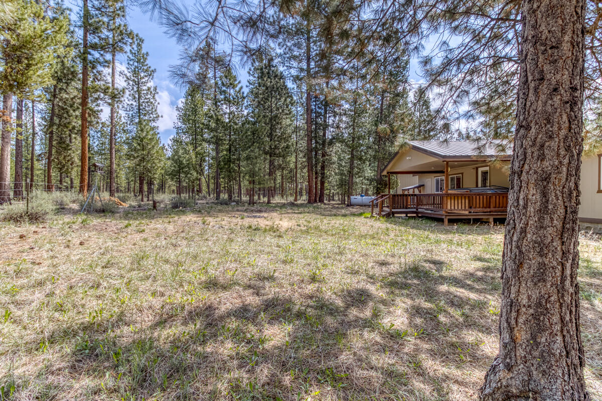 Ponderosa Pines - Residential