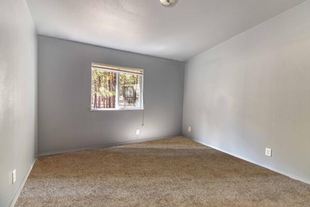 Ponderosa Pines - Residential