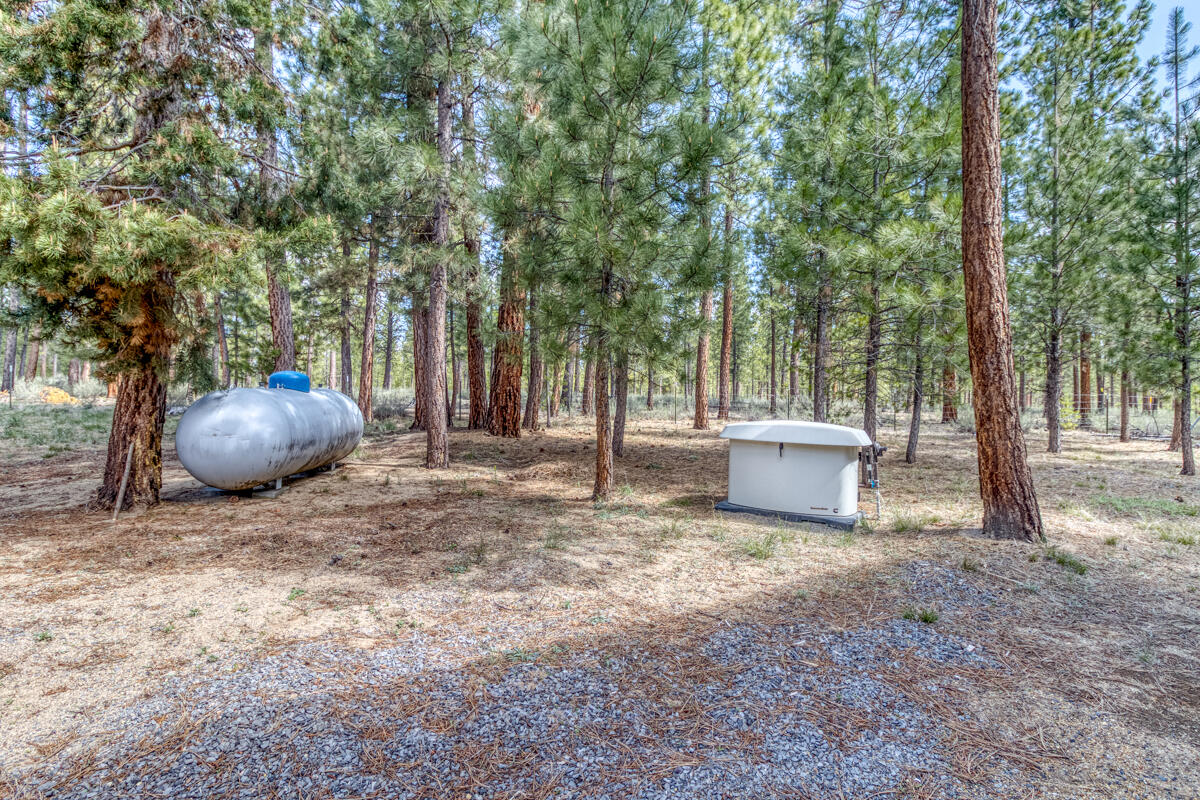 Ponderosa Pines - Residential