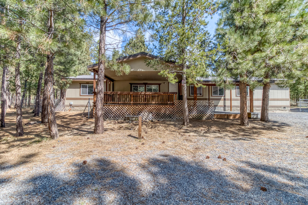 Ponderosa Pines - Residential