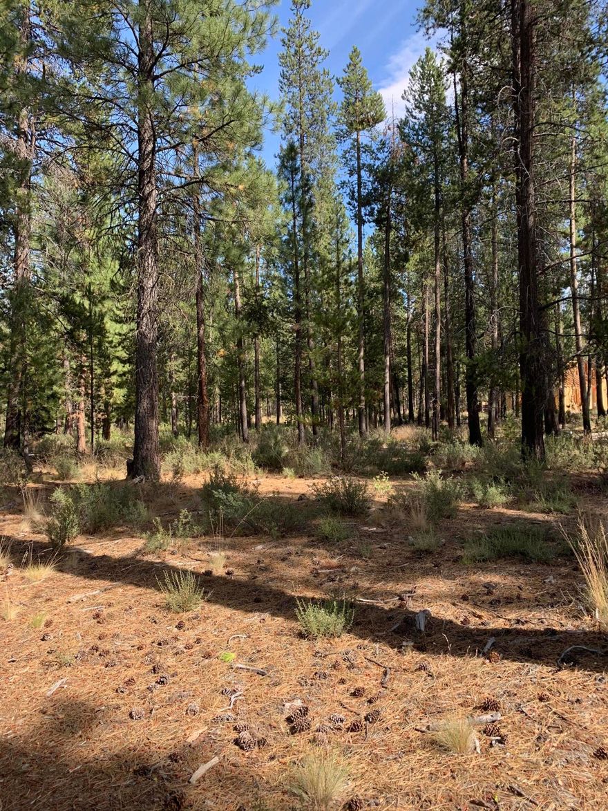 Come to see this perfect Home-site! Close to Sunriver, and the property backs up to National Forest.