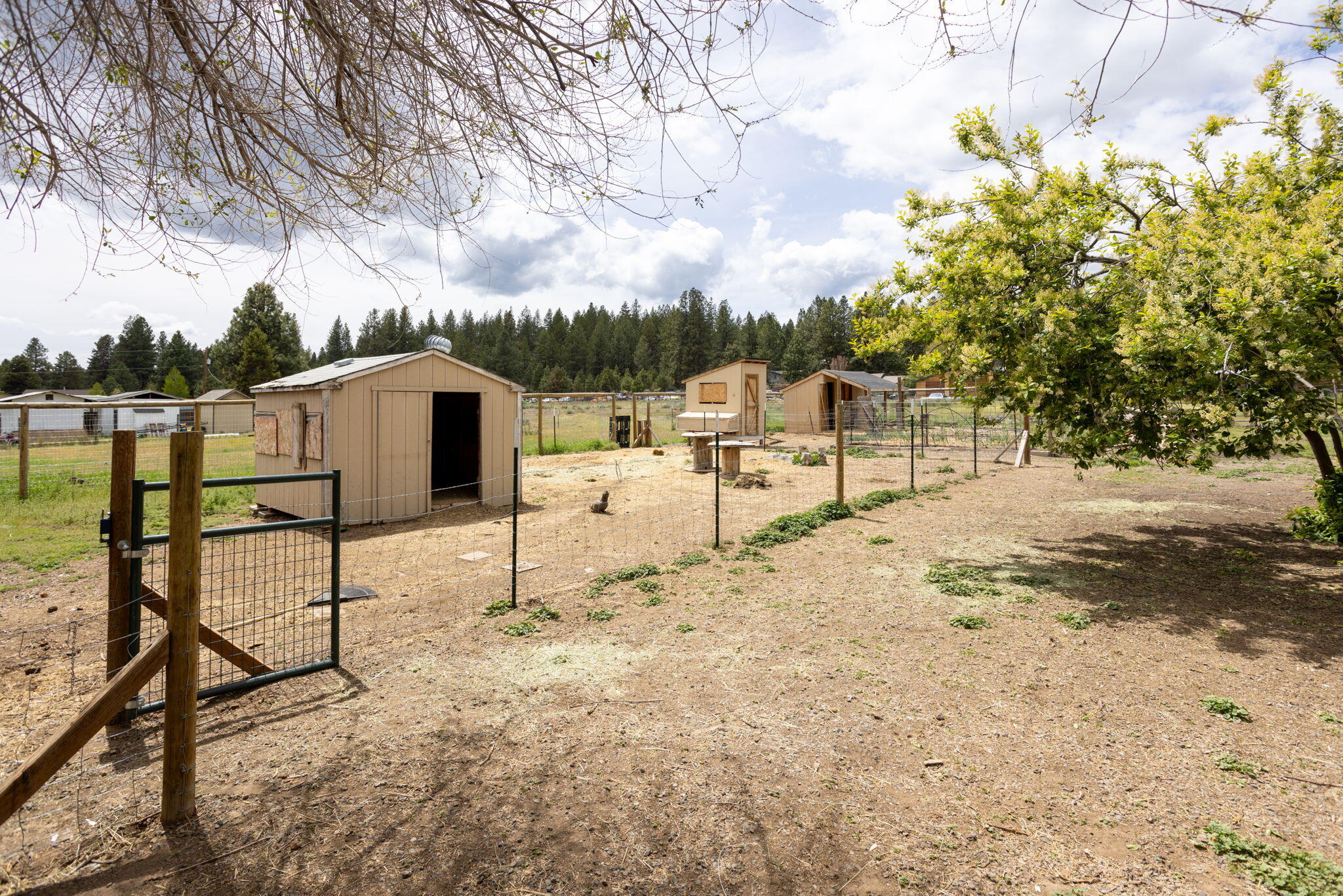 Deschutes RiverWoods - Residential