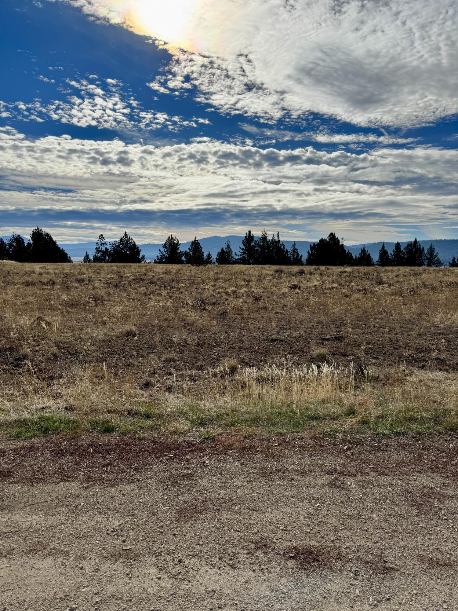 Nimrod River Park - Land