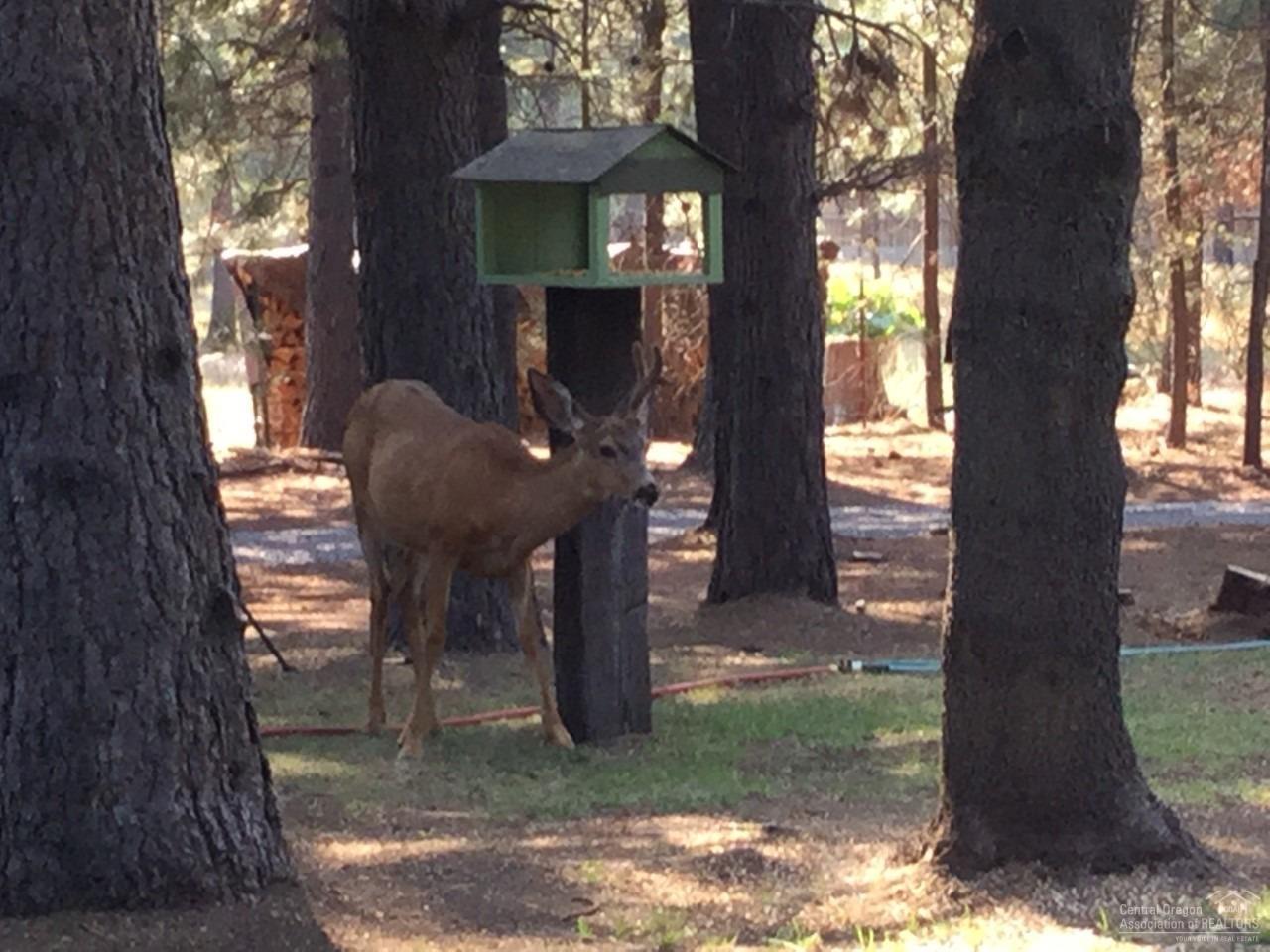 Tall Pines - Residential