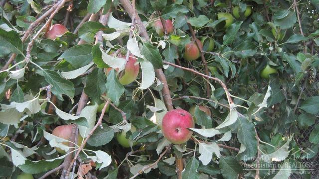 Bel Air - Residential