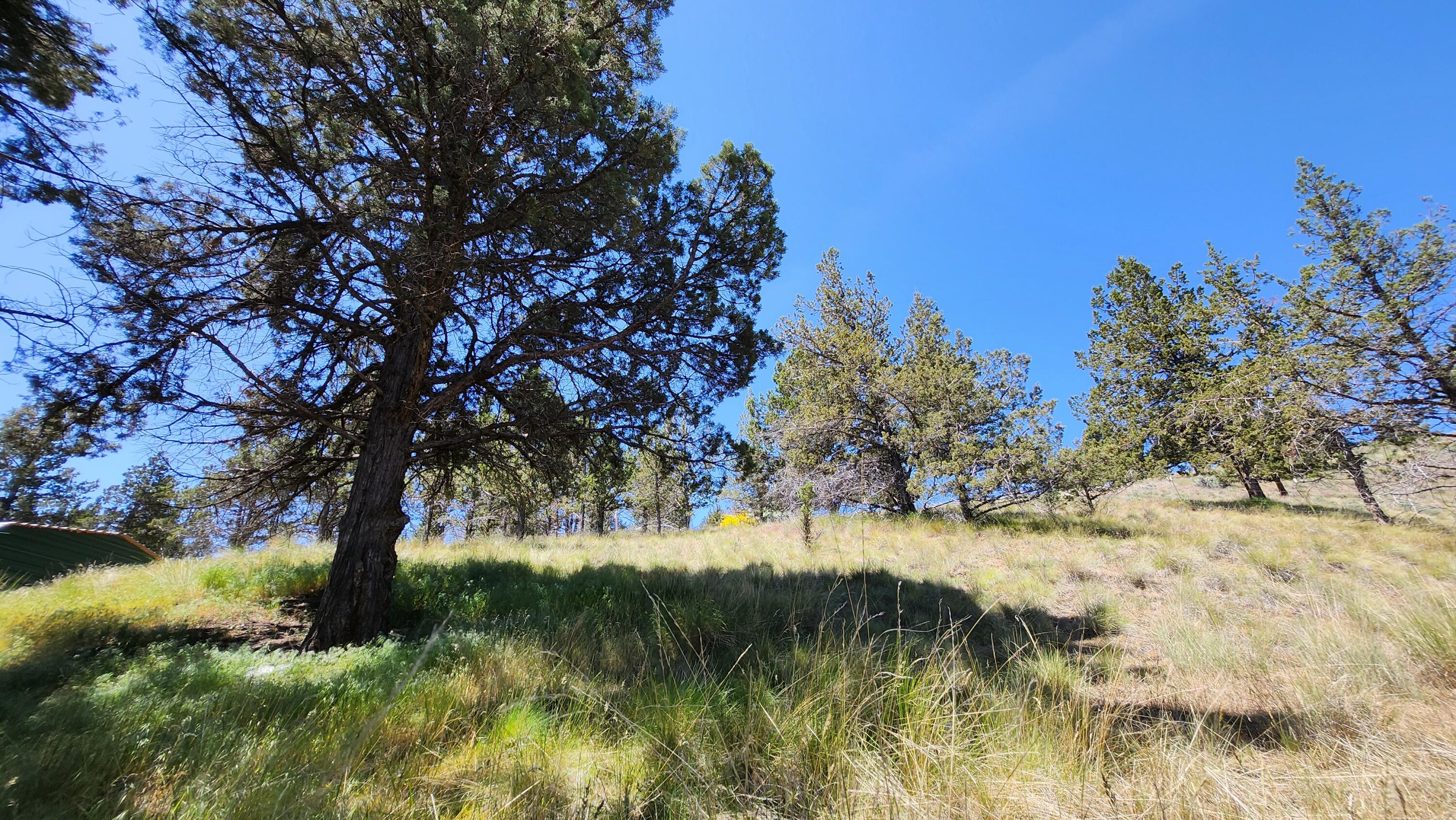 Golden Horseshoe - Land