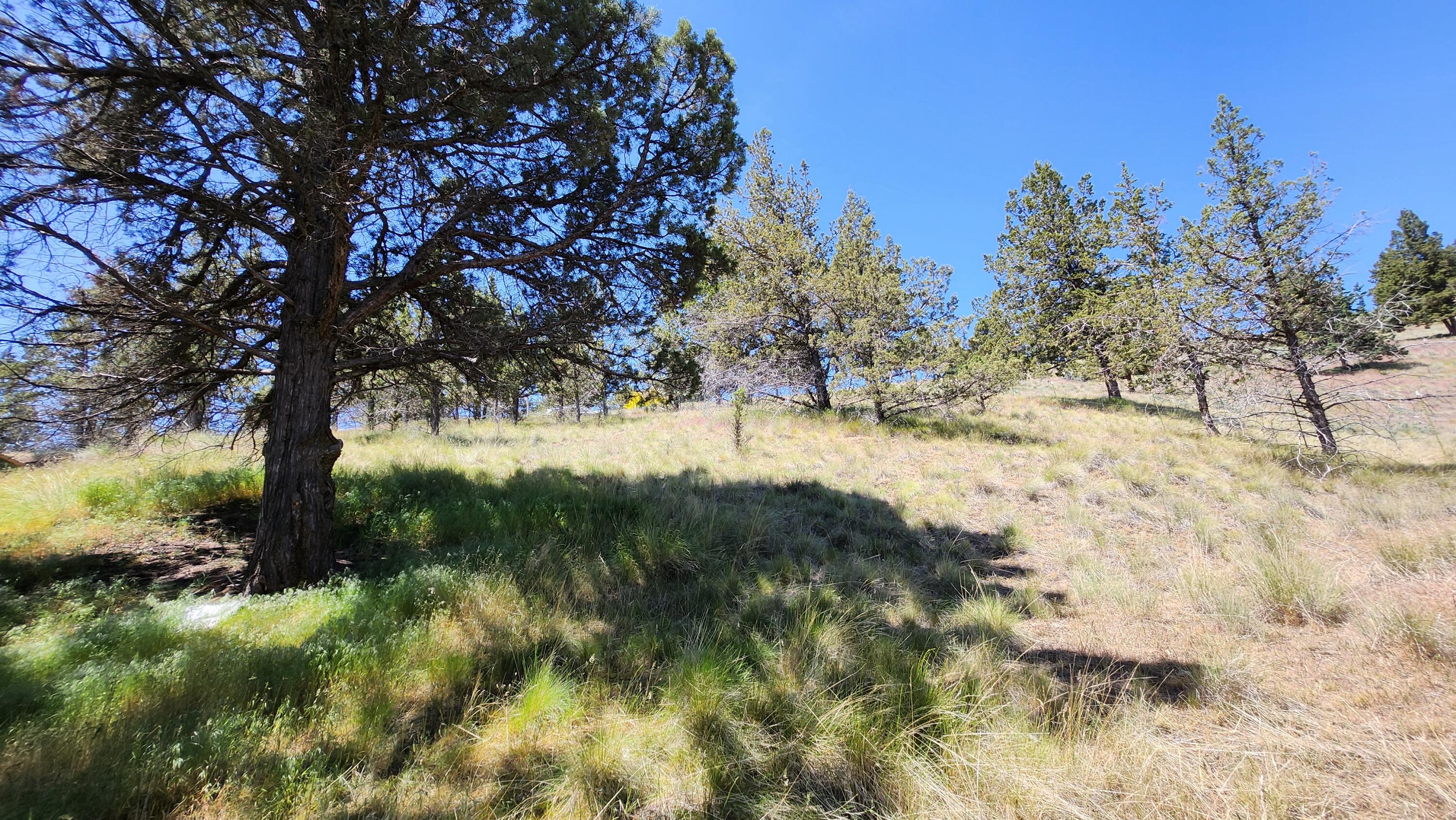 Golden Horseshoe - Land