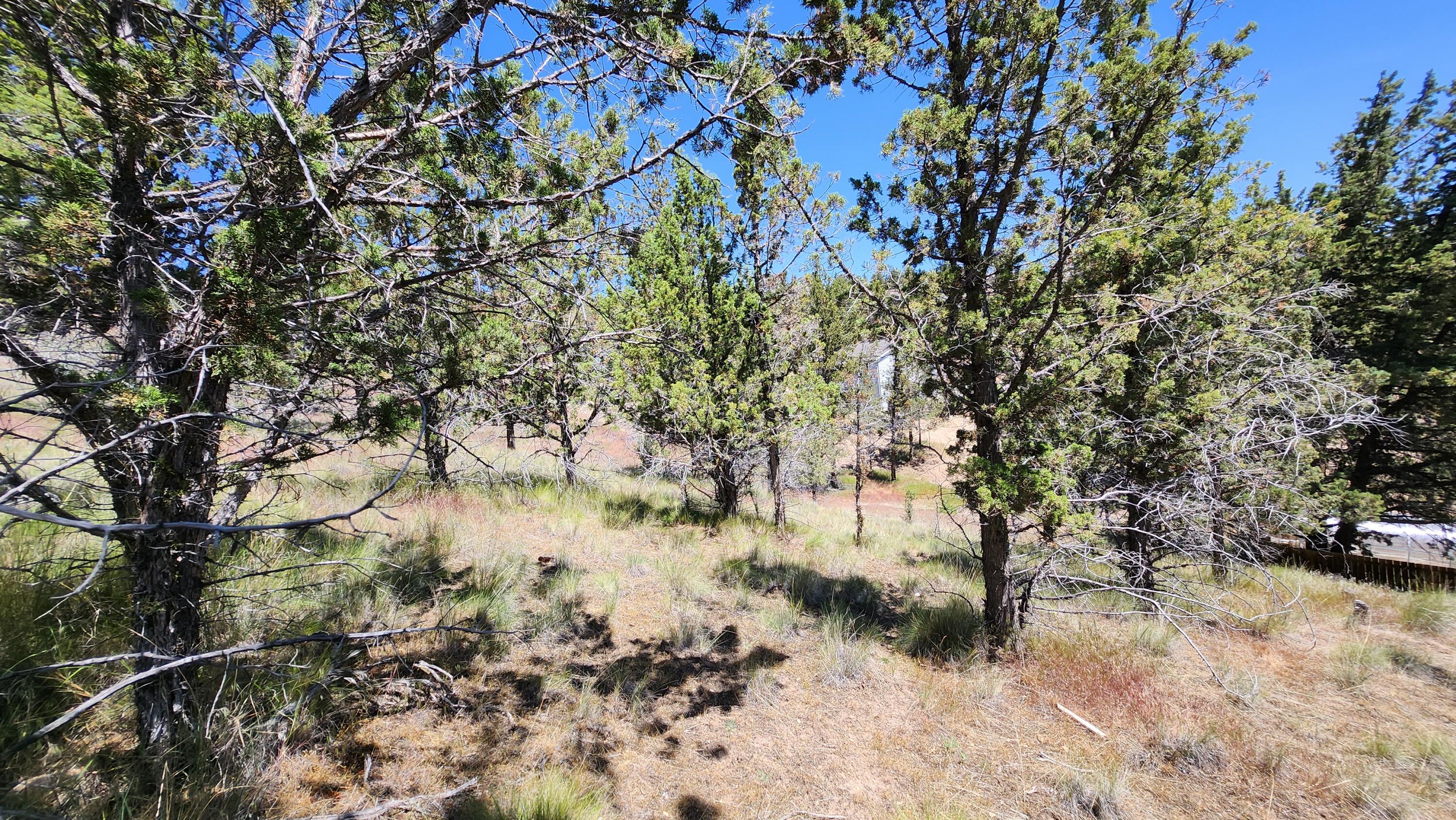 Golden Horseshoe - Land