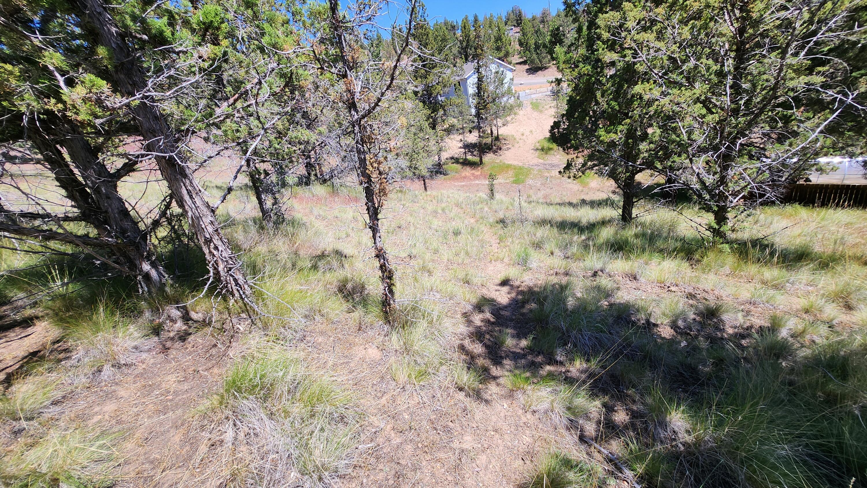 Golden Horseshoe - Land