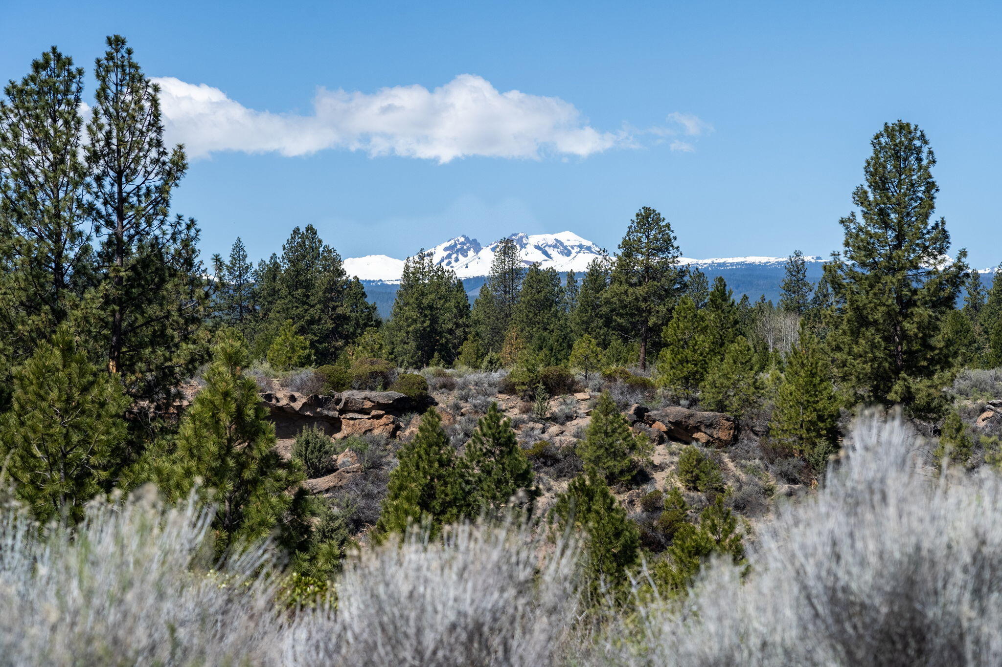 River Bend Estate - Land