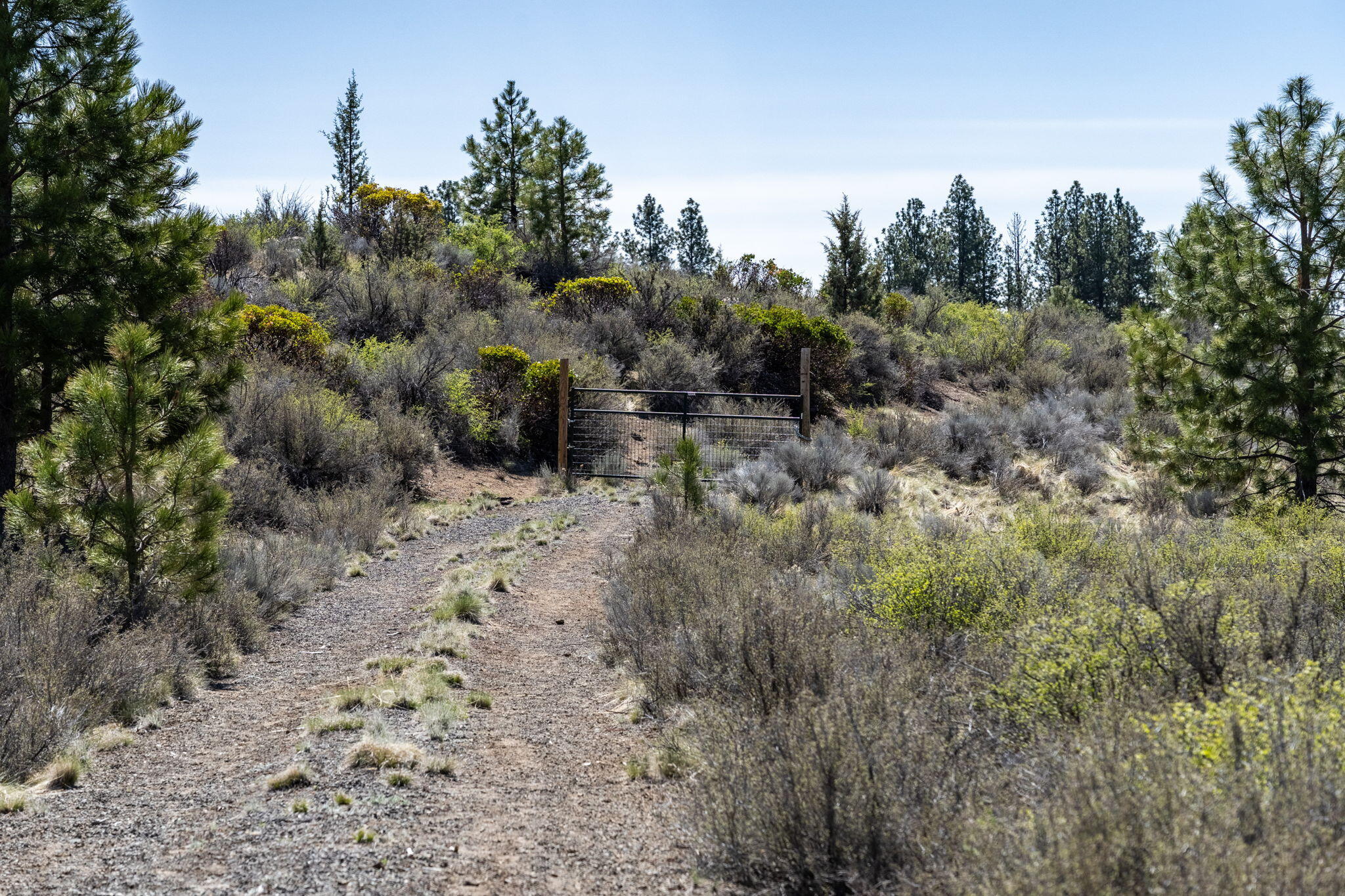 River Bend Estate - Land
