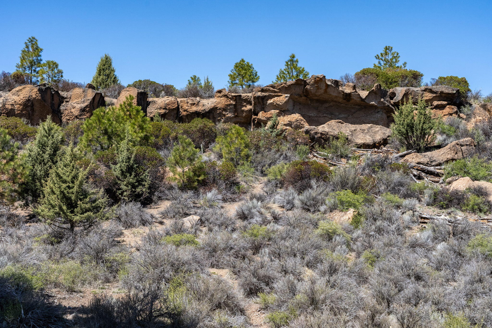 River Bend Estate - Land