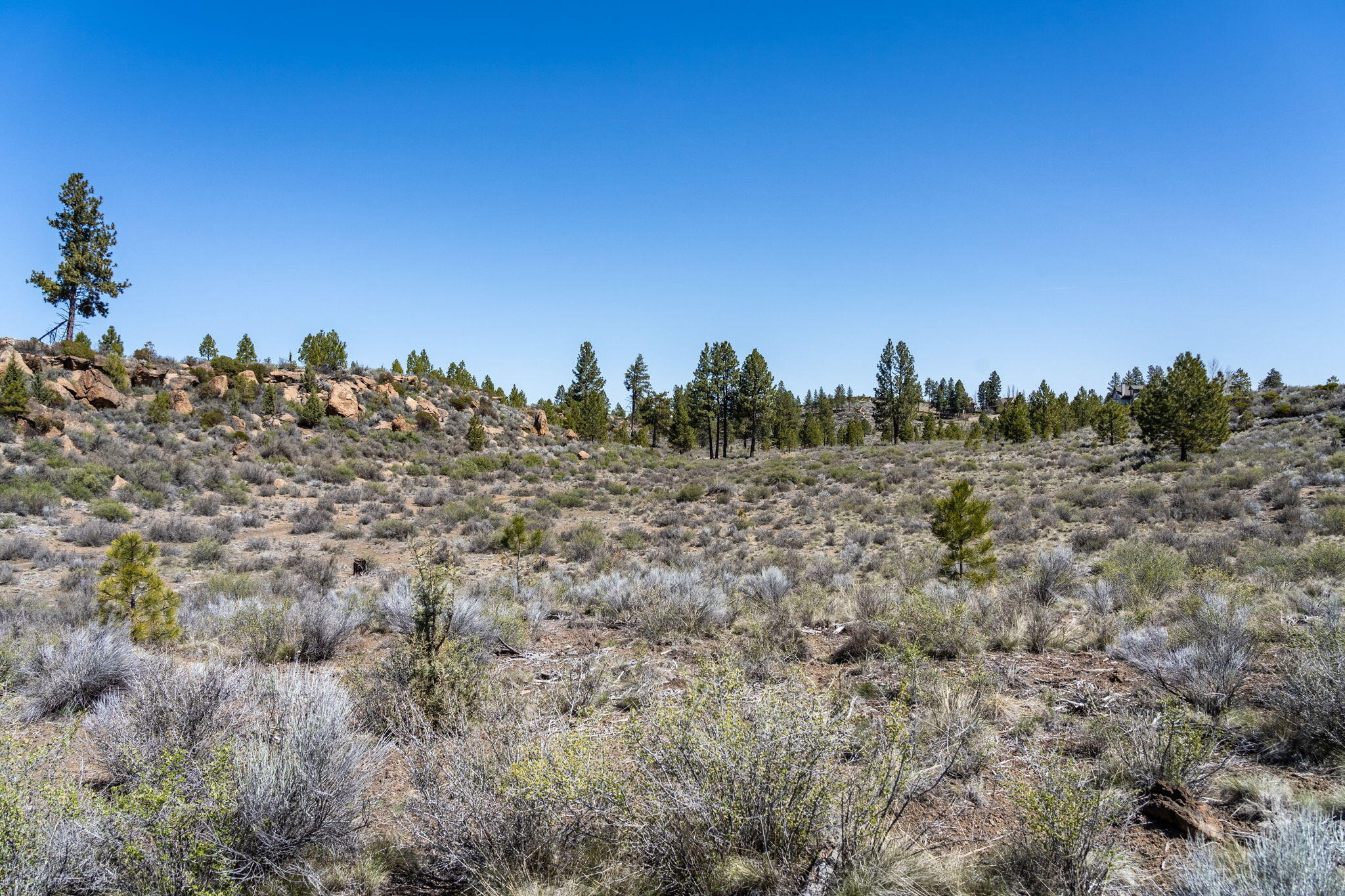 River Bend Estate - Land