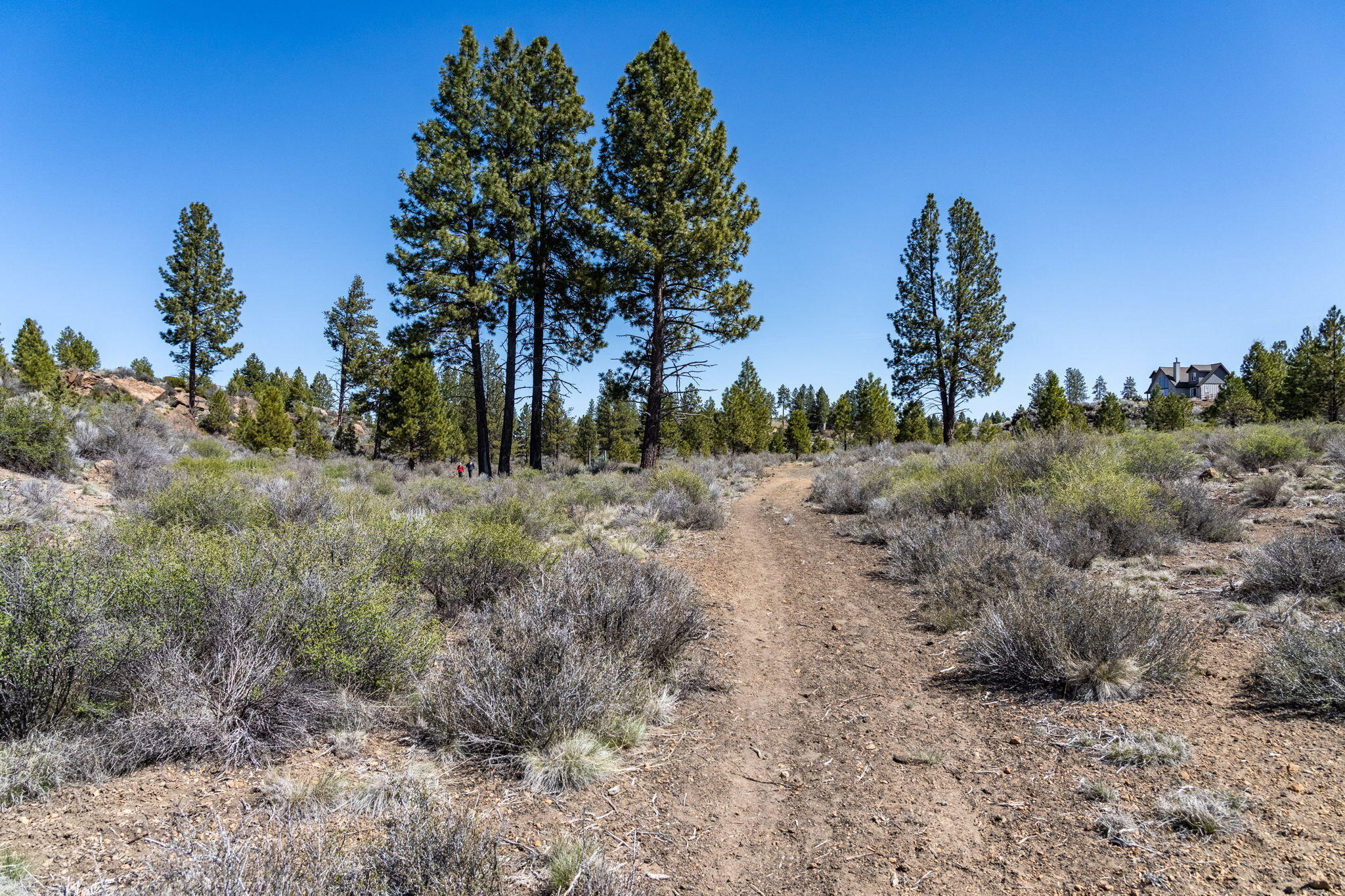 River Bend Estate - Land