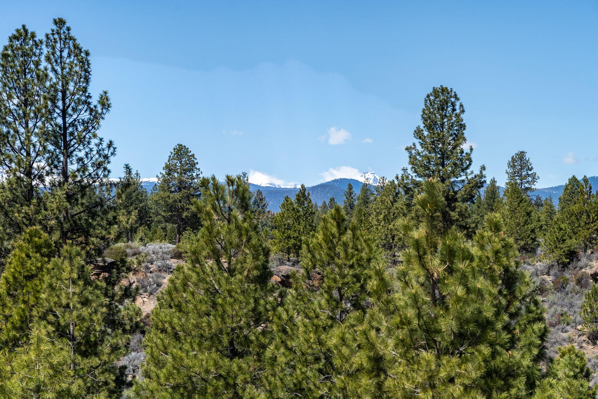 River Bend Estate - Land