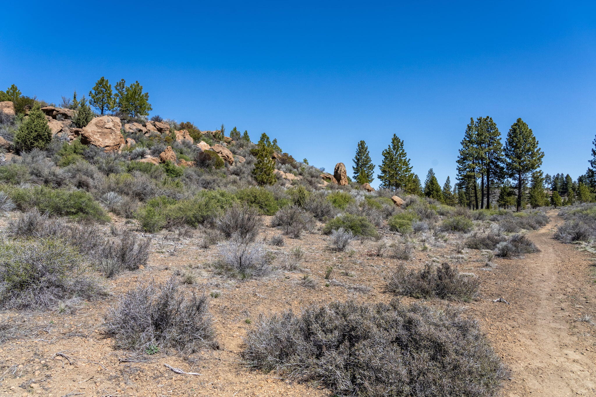 River Bend Estate - Land