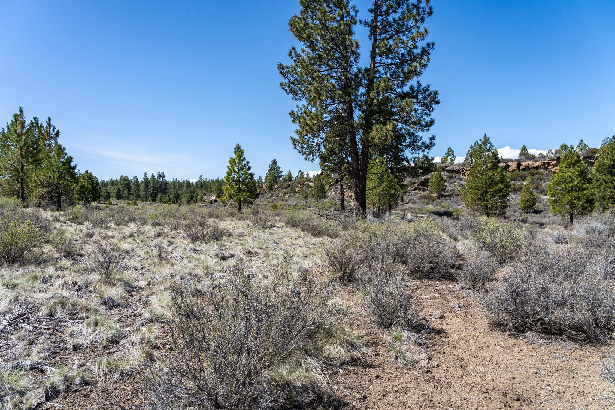 River Bend Estate - Land