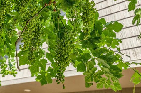 Tiny photo for 335 Meadow Slope Drive, Talent, OR 97540 (MLS # 220210882)