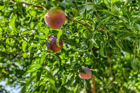 Tiny photo for 335 Meadow Slope Drive, Talent, OR 97540 (MLS # 220210882)