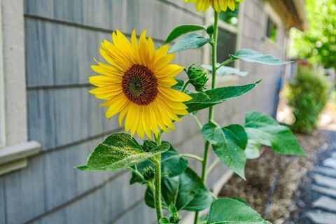 Tiny photo for 335 Meadow Slope Drive, Talent, OR 97540 (MLS # 220210882)