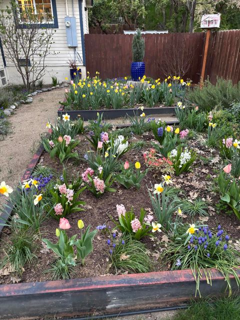 Tiny photo for 1203 4th Avenue, Gold Hill, OR 97525 (MLS # 220219560)