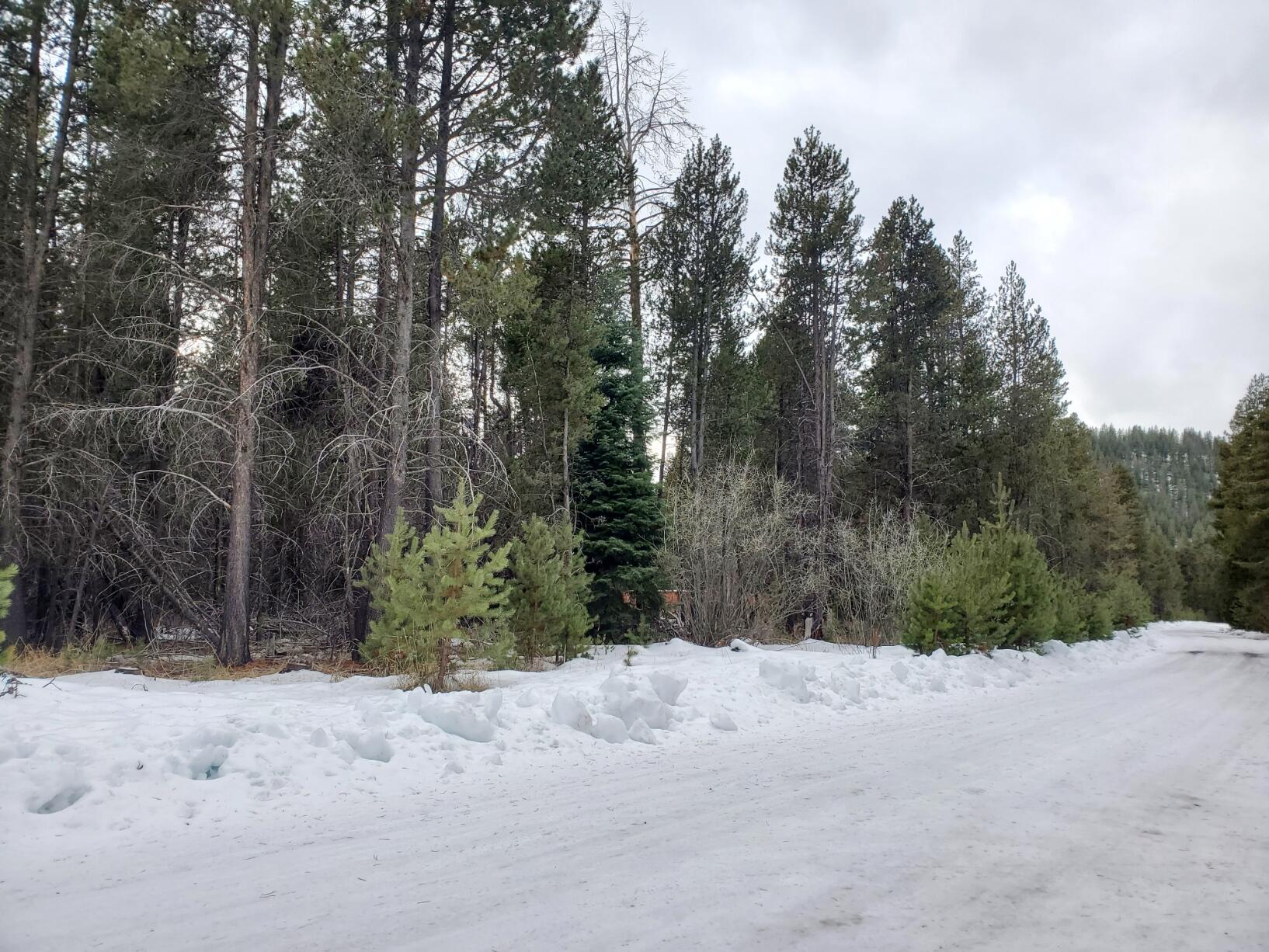 Deschutes River Recreation Homesites - Land