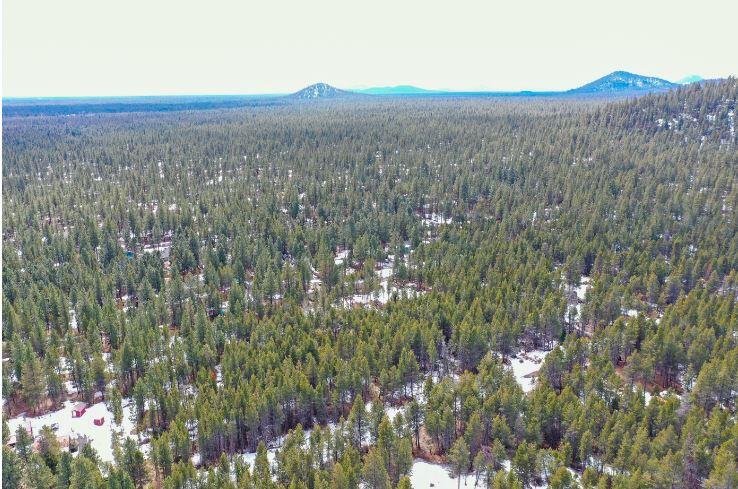 Deschutes River Recreation Homesites - Land