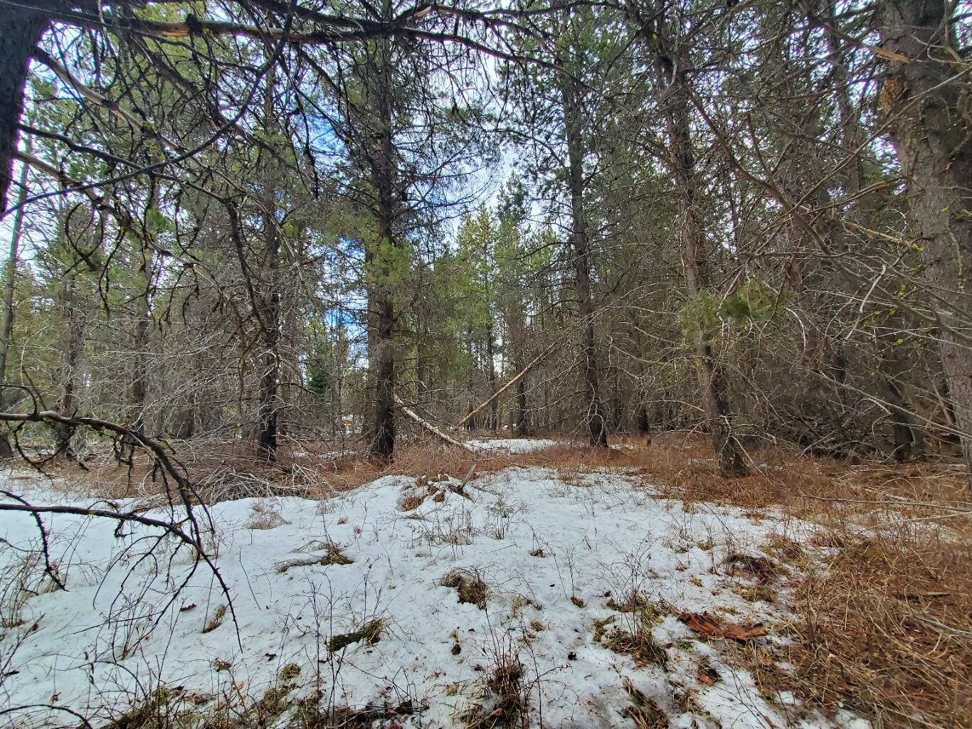Deschutes River Recreation Homesites - Land