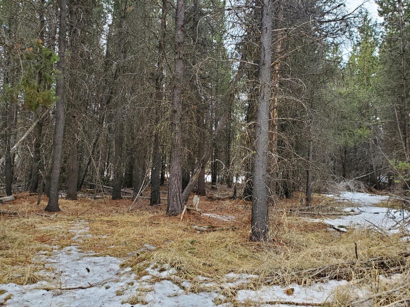Deschutes River Recreation Homesites - Land