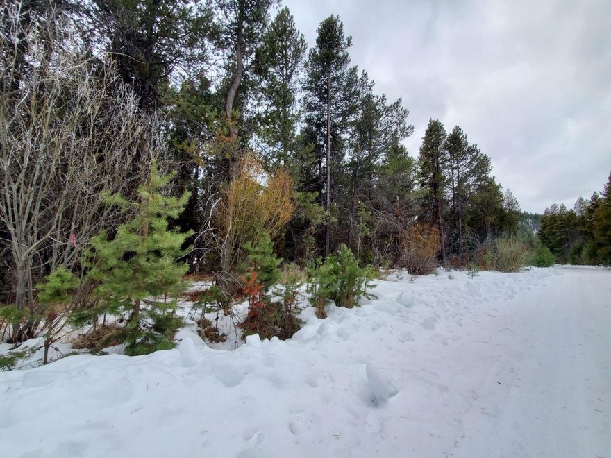 .49 acre of pine forest on recreational land near the Deschutes river, close to the Cascade Lakes, La Pine State Park and Mt. Bachelor. Buyer to do due diligence on 'recreational lot'.
Adjacent lots 16899 & 16905 also for sale.