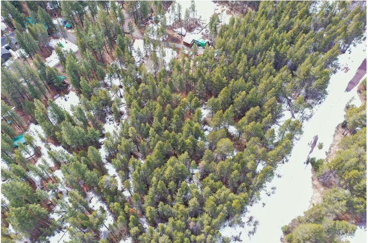 Deschutes River Recreation Homesites - Land
