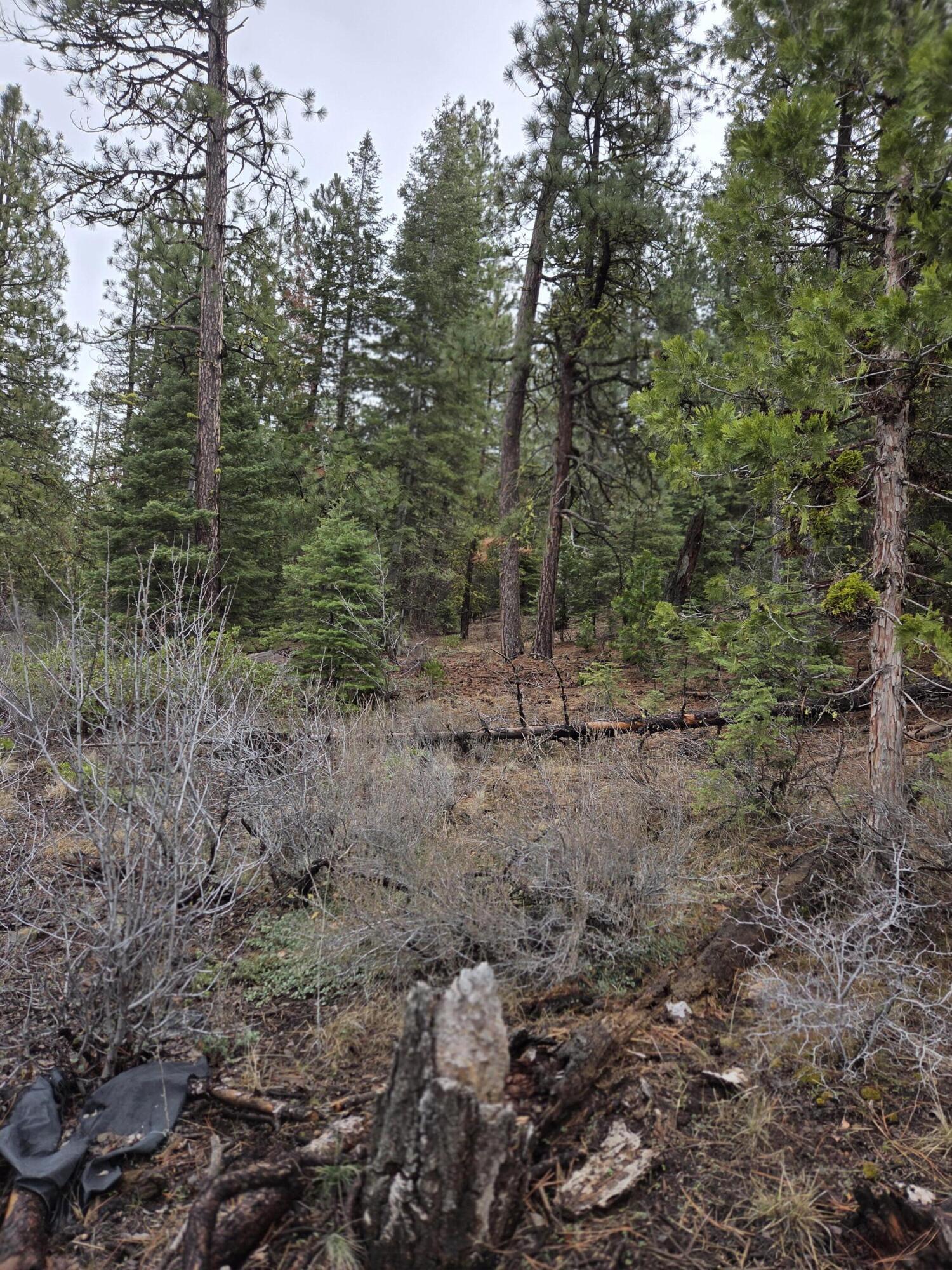 0 E Yak / Hwy 140 Lane Lot 1