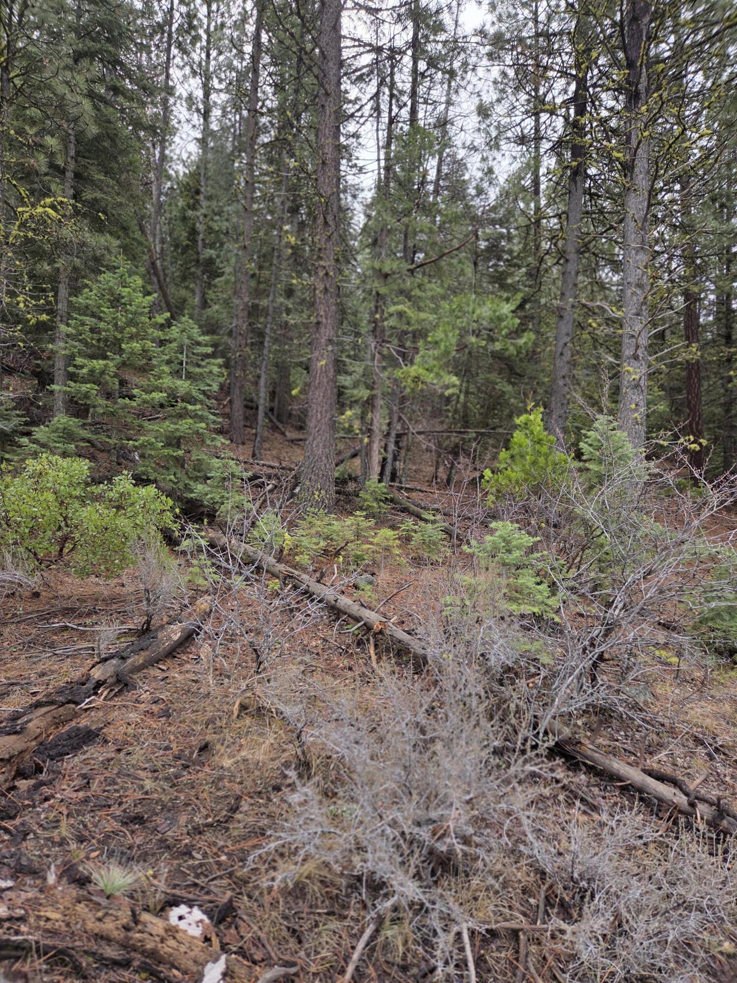 0 E Yak / Hwy 140 Lane Lot 1