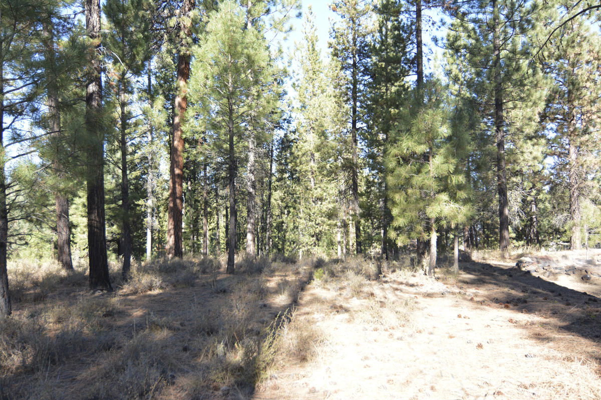 Fall River Estate - Residential