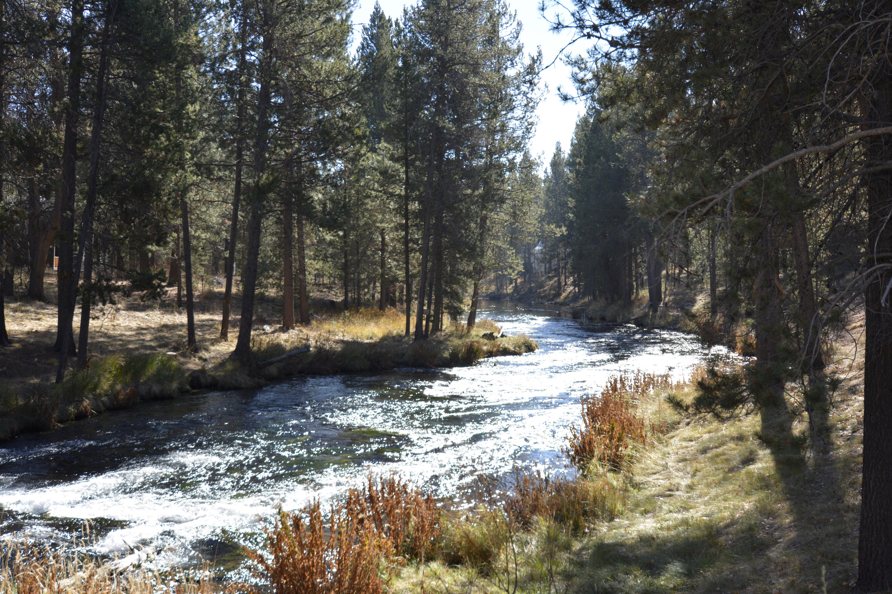 Fall River Estate - Residential