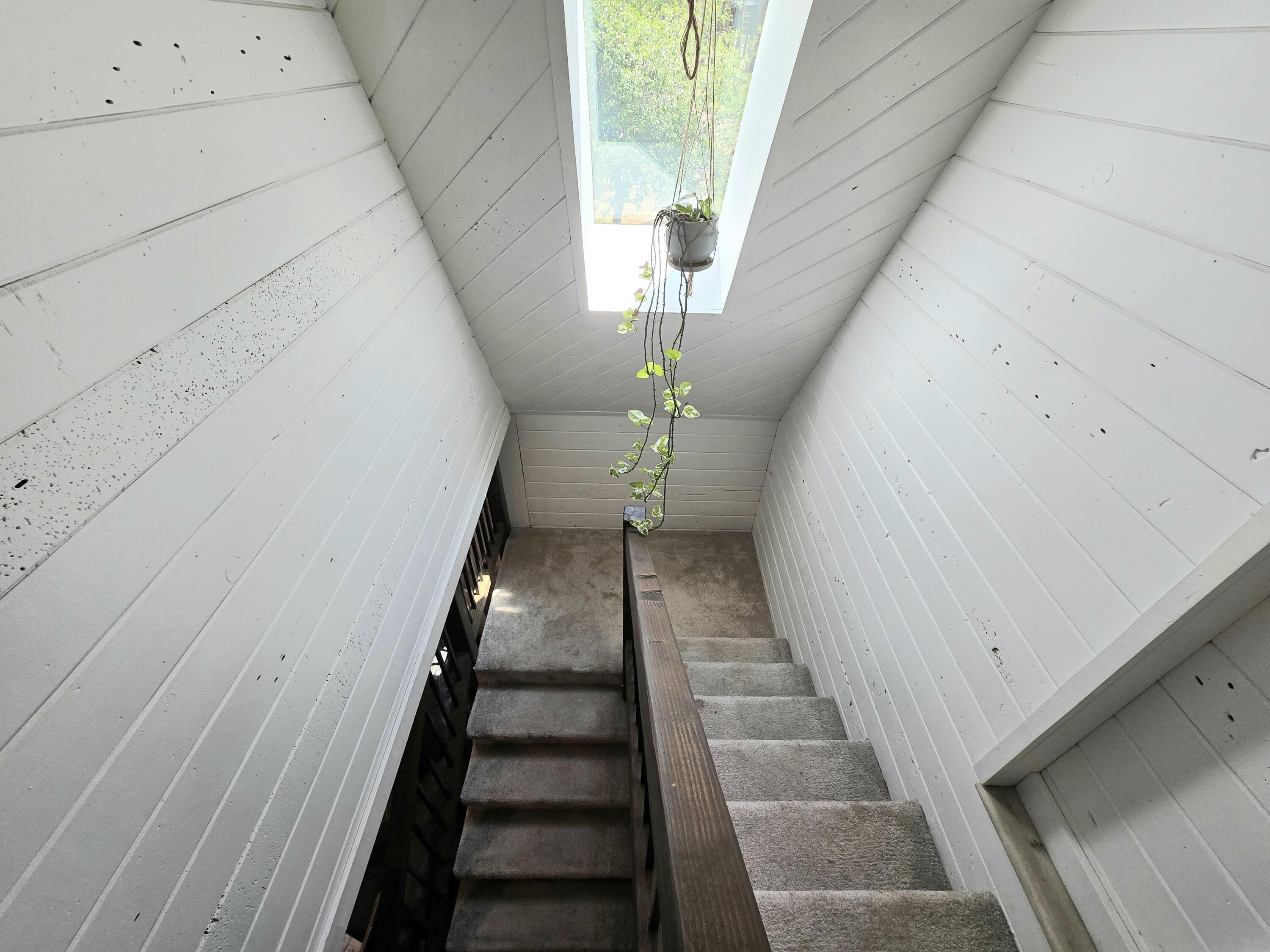 Plum Valley - Residential