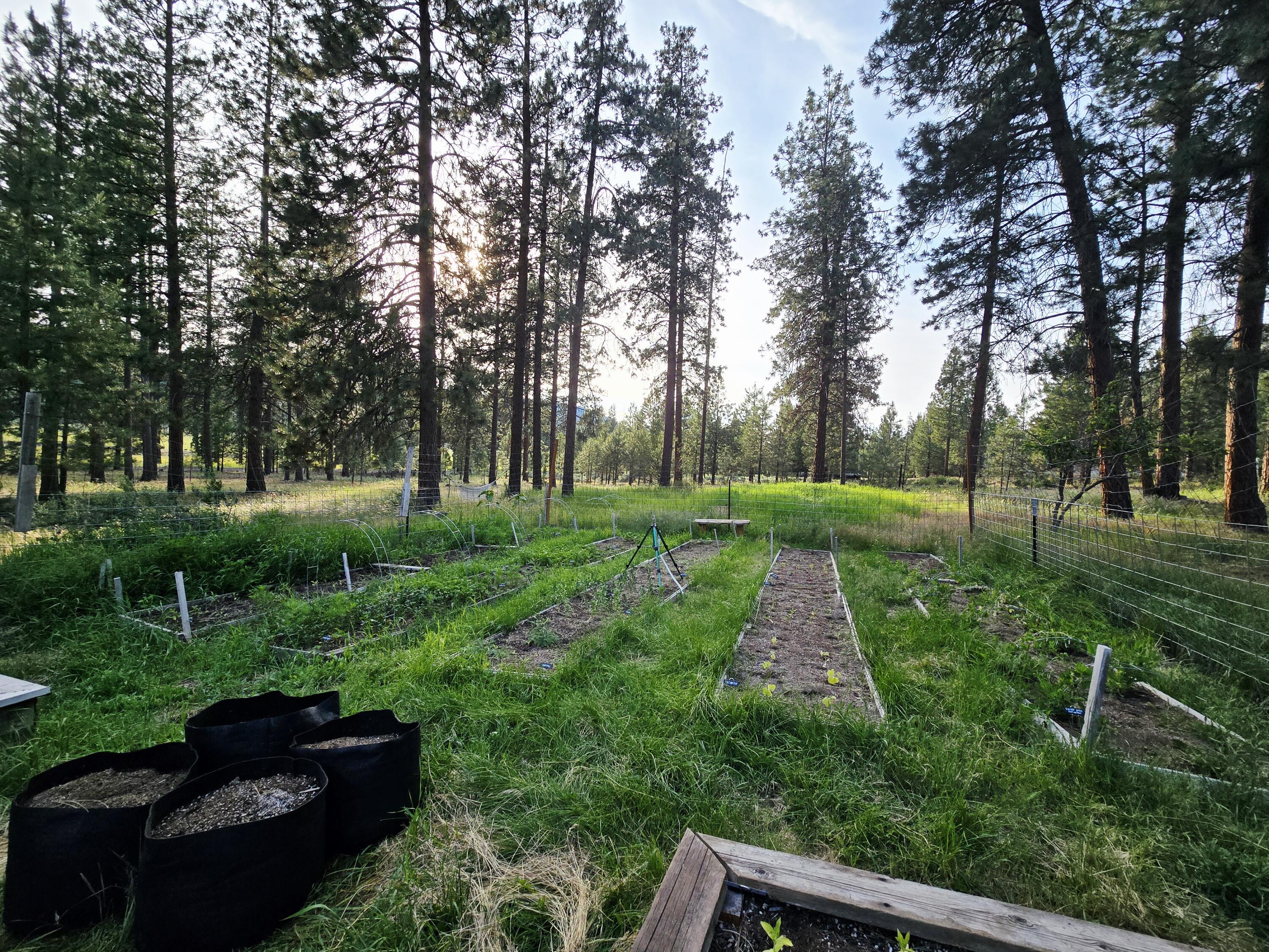 Plum Valley - Residential