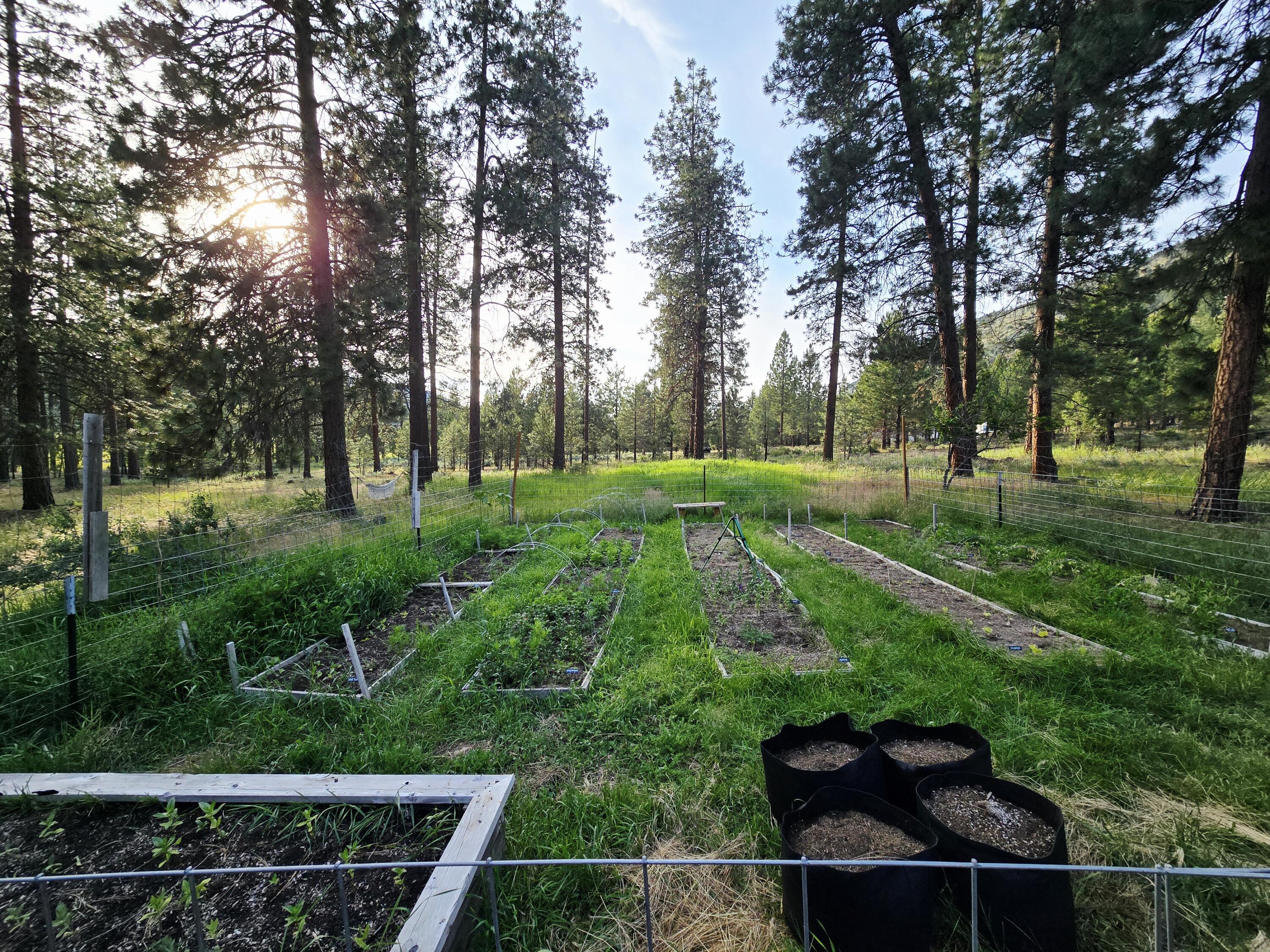 Plum Valley - Residential