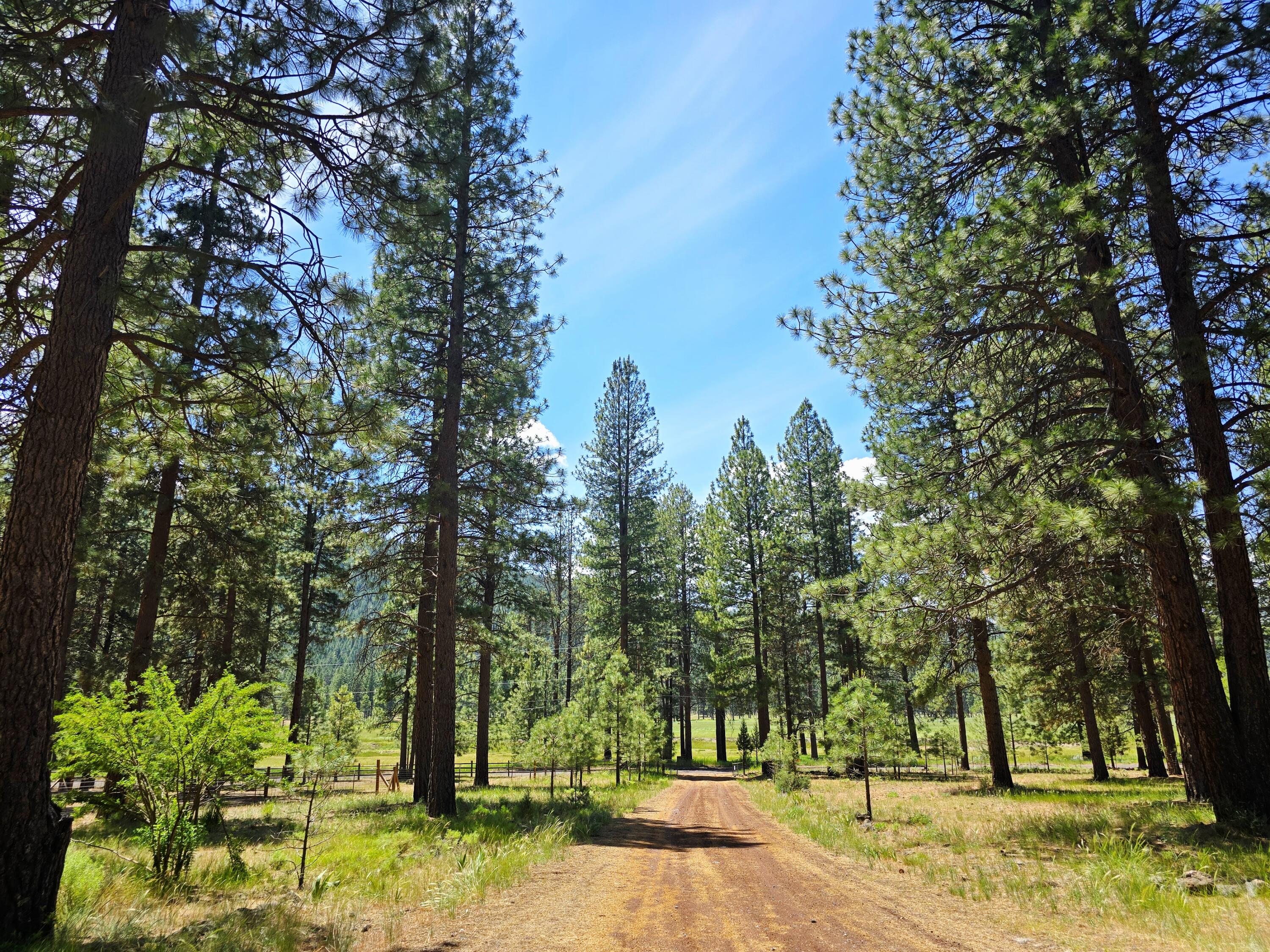 Plum Valley - Residential